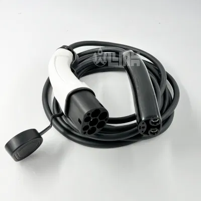 Electric Vehicle Evse Plug 48A 110-220V EV Charger Type2 to Tesla Extension Cable for Tesla