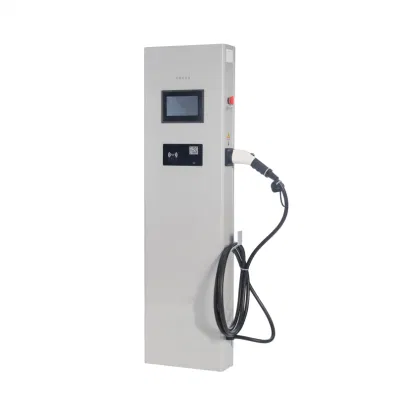 Top Manufacturer Dual Plug CCS2 Electric Car AC Charger Charging Station