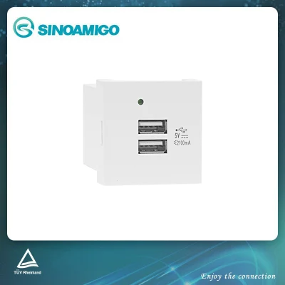 2.1A USB Charger (F21-C3) Suit for Wall Socket, Floor Boxes, Table Boxes