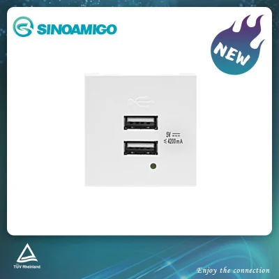 2.1A USB Charger (F21-C3) Suit for Wall Socket, Floor Boxes, Table Boxes
