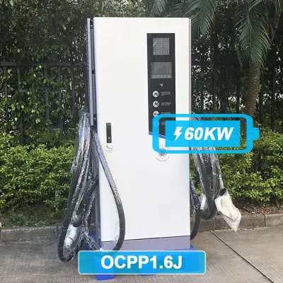 Pevc3107 60kw Electric Car Charger CCS2 CCS1 EV Charging Station for BMW/Tesla/Tata EV Charger