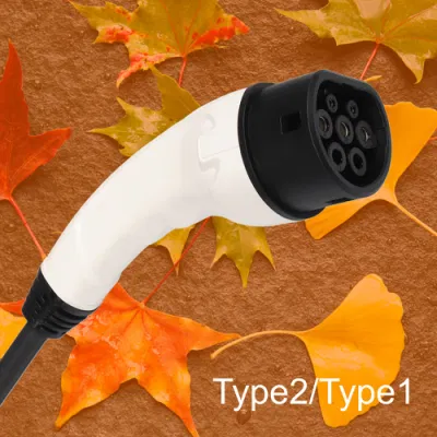 Ee S&T OEM Mode 2 3.5kw 16A CE Rhos Qualification Adjustable Portable Home AC EV Charger in Black Color with Type 2 Plug