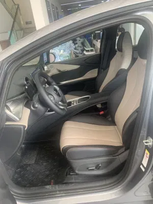 Fast Charging Stylish Design Byd Dolphin New Energy Vehicle