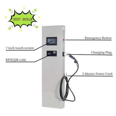 Top Manufacturer Dual Plug CCS2 Electric Car AC Charger Charging Station