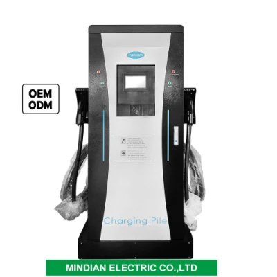 Wholesale EV Charging Station CCS DC Charger Programable Power Controller EV Fast Charger Manufacturer Supplier