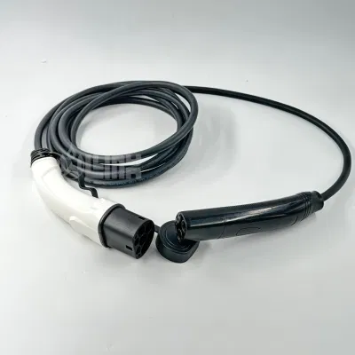 Electric Vehicle Evse Plug 48A 110-220V EV Charger Type2 to Tesla Extension Cable for Tesla