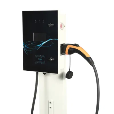 Manufacturer Supply Single Phase AC EV Charger with The Display