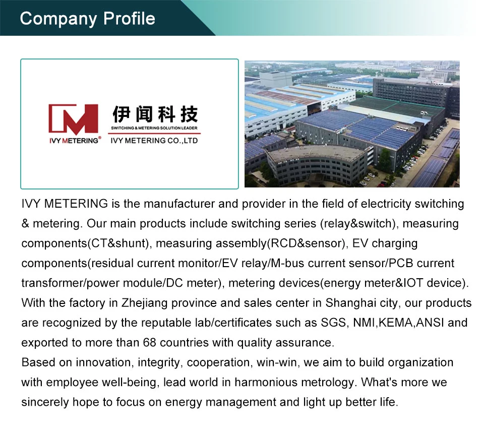 IVY Metering DC Energy Meter Applied in Solar PV, Battery Monitoring, EV Charging Stations