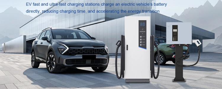 Pevc3107 60kw Electric Car Charger CCS2 CCS1 EV Charging Station for BMW/Tesla/Tata EV Charger