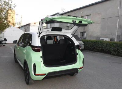 EV 5 asientos de coches baratos Byd D1 EV Ride-Hailing vehículo eléctrico 418km de carga rápida de la venta caliente fabricado en China
