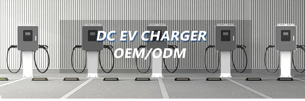 China DC EV Charger Manufacturers EV Wallbox 20kw 30kw Fast Charger EV for Electric Vehicles