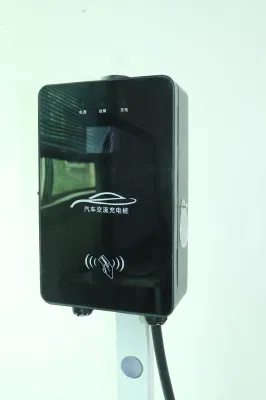 Ruisu Factory Wholesale Portable AC Home Charging Car Battery Wallbox Caricabatteria per auto elettriche da 7 kw