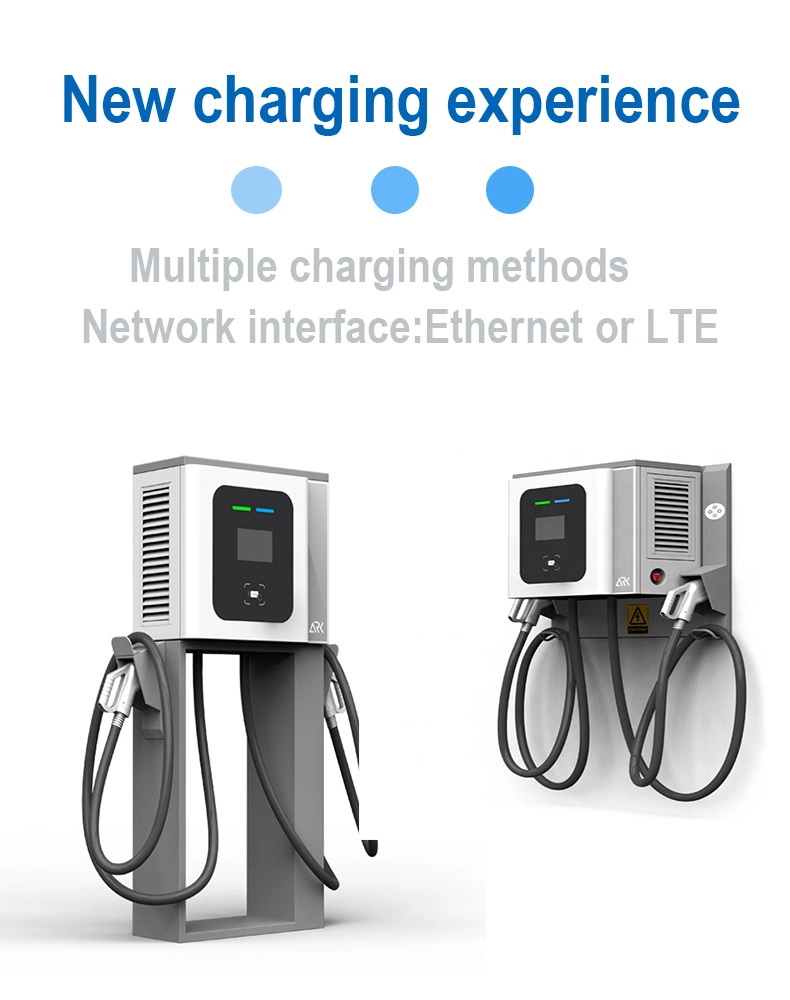 40kw CCS1/CCS2 DC Fast Charging EV Charger Manufacturer/Customization