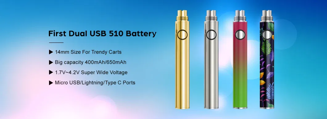 Original Factory Price 510 Thread Battery Dcb 650mAh Big Capacity Rechargeable Preheat Button Disposable Vape Pen Battery with Dual Charging Port