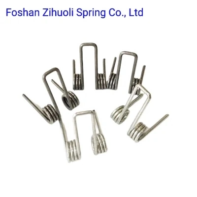 OEM Hardware Small Wholesale Metal Spiral Rolling Door Double Torsion Spring