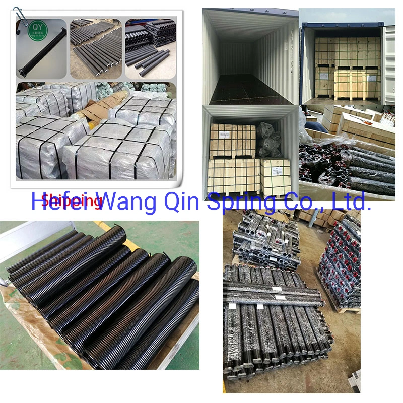 China Factory Best Custom Torsion Spring for Garage Door with Certification