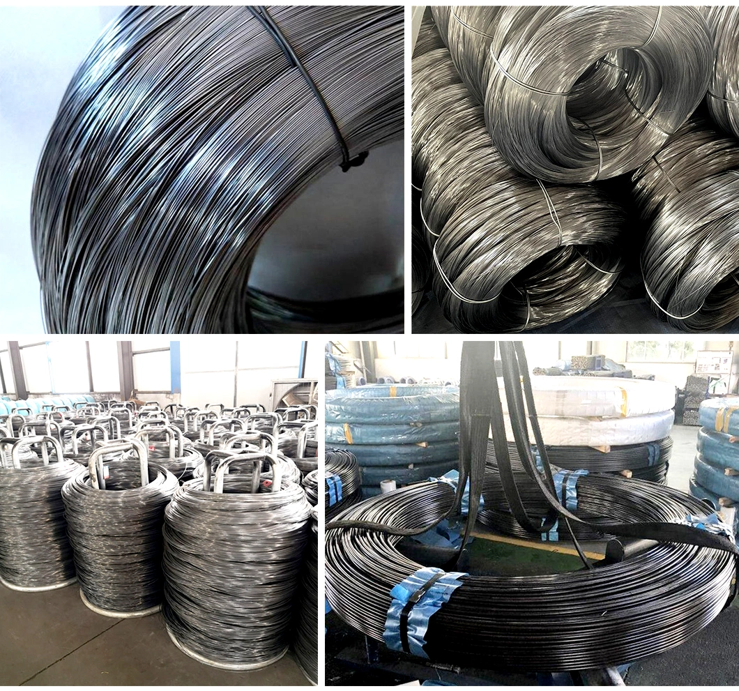 Low Carbon SAE 1006/SAE1008 Cold Heading Steel Wire Rod for Cold Drawn Wire
