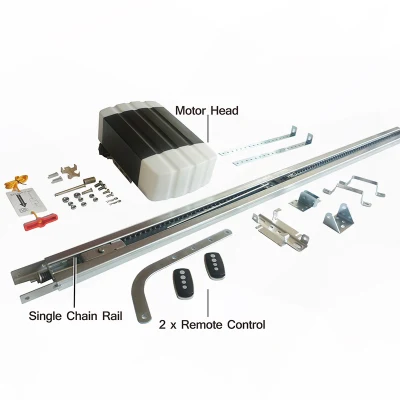 Apertura garage a soffitto 220 V 24 CC con 2 telecomandi