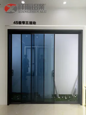  Lega di alluminio vetro satinato nuovo scorrimento sezionale nero moderno Porta del garage isolata