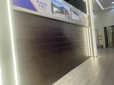  Apertura semplice e affidabile porta garage automatica