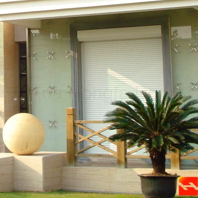  Porta sezionale di qualità per garage con più stili Windows