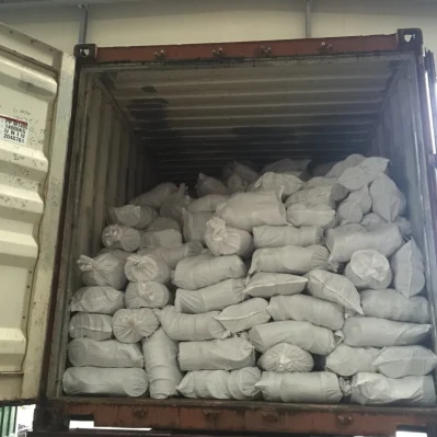 Vano molla della porta del garage, puleggia della porta dell&prime;otturatore
