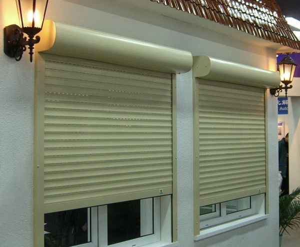 Professional Hurricane Storm Security Roller Shutter/Manual Roller Door