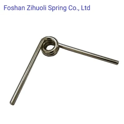 Hot Selling High Quality Metal Glabrate Torsion Spring