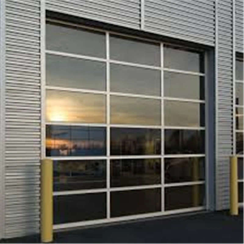 Customized Aluminum with Clear/Frosted Glass Garage Door for Sale