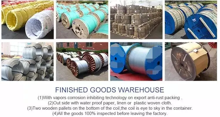 Cold Rolled Galvanized or Stainless Steel Wire Carbon Spring Steel Wire