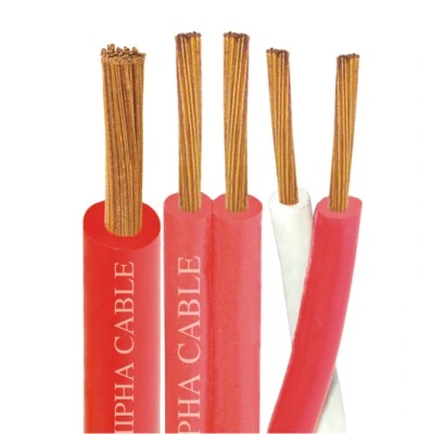 XLPE/PVC RV-K/RV Power Cable 0.6/1 Kv for Building Installation Cable