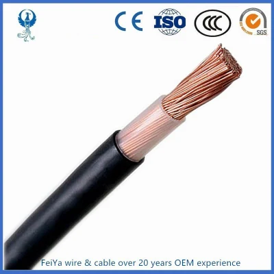 450/750V PVC Insulated Electric Wire BV/BVV/RV/Rvv/Rvs Cable 3mm 10mm 5.5mm Electrical Wires