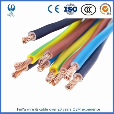 450/750V PVC Insulated Electric Wire BV/BVV/RV/Rvv/Rvs Cable 3mm 10mm 5.5mm Electrical Wires