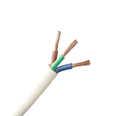Rvv 2 * 1.0mm2 Electrical Wiring Insulated Cable, Electrical Copper Wire 3mm
