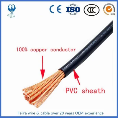 450/750V PVC Insulated Electric Wire BV/BVV/RV/Rvv/Rvs Cable 3mm 10mm 5.5mm Electrical Wires