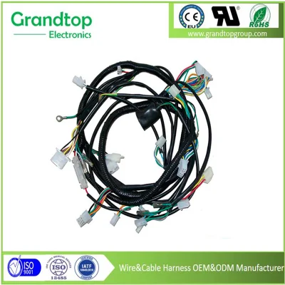 High Quality Wear-Resistant Custom Electrical Wire Harness Cable Assembly for Automotive