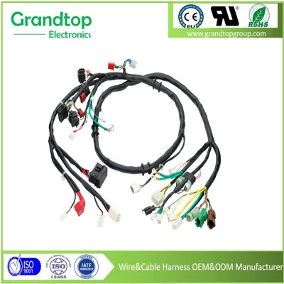 High Quality Wear-Resistant Custom Electrical Wire Harness Cable Assembly for Automotive