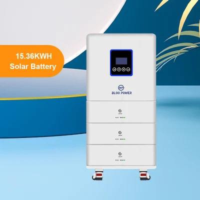 Bloopower 15kwh 20 Kw 20kw 20 Kwh Li Ion Floor Stand Type for Inverter 5.12kwh Electric BMS Chargers House Supply at Home on Grid Solar Energy System