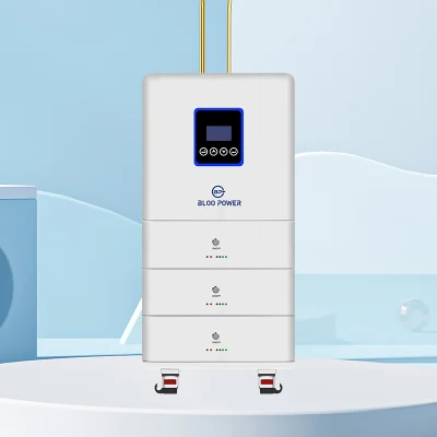 Bloopower 15kwh 20 Kw 20kw 20 Kwh Li Ion Floor Stand Type for Inverter 5.12kwh Electric BMS Chargers House Supply at Home on Grid Solar Energy System
