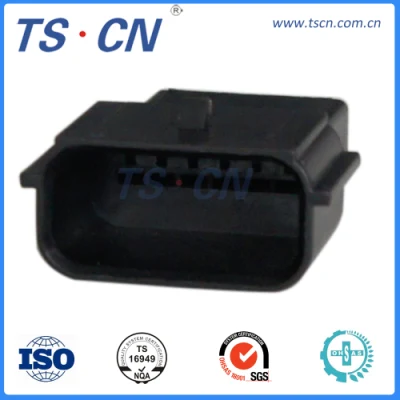 Electrical Auto Male Wire Harness Cable Assembly Plug Terminal Connector Ts30119-03p-11