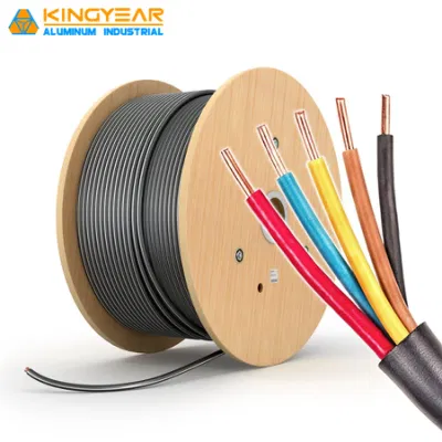 Wholesale Low Voltage BV/BVV Copper Conductor PVC Insulation Sheath Electrical Electric Wire