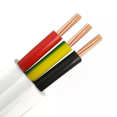 1.5mm 2.5mm 4mm 6mm 10mm 16mm 25mm Single Core Copper Conductor PVC House BV Bvr Electrical Cable Building Wire
