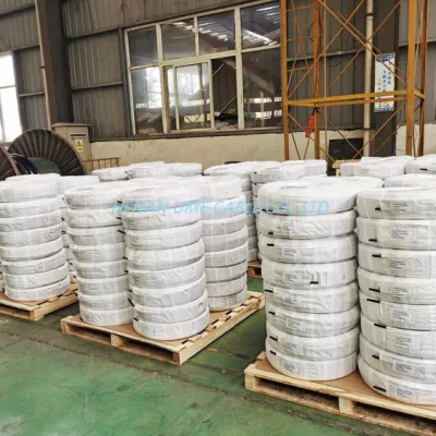 Electric Wire Copper Wire PVC Insulation Ground Wire Tsj Cable