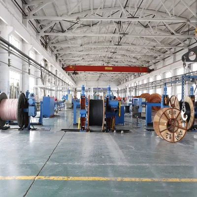 Kvvp PVC Insulation &amp; Sheathed Copper-Wire Braid Screening Control Cables