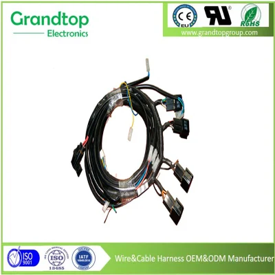 High Quality Wear-Resistant Custom Electrical Wire Harness Cable Assembly for Automotive