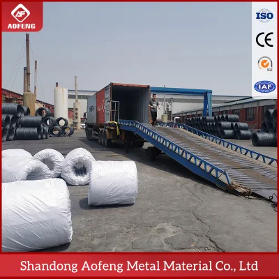 Good Price Bwg AWG Swg 0/1/2/3/4/6/7/8/10/12/14/16/18/20/22/24/26/28 Gauge Galvanized Steel Wire