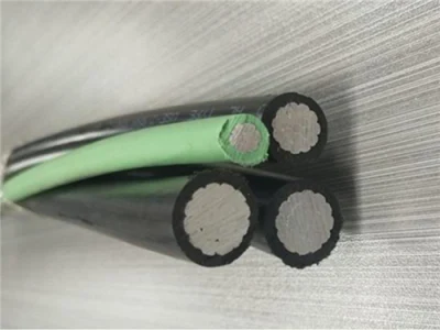 Aluminum Mobile Home Feeder Service Entrance Cable Hout Salt on American Merket
