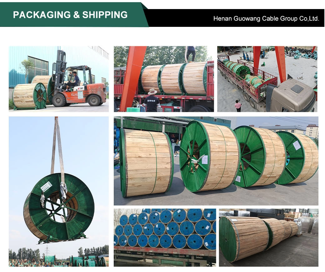 Liycy Cable Class 5 Fine Stranded Bare Copper Conductor Tinned Copper Wire Braid Screen PVC Control Cable Kvvrp