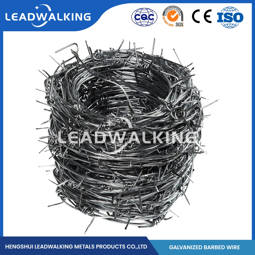 Leadwalking Galvanized Barbed Wire Clip Manufacturing Custom Barbed Wire Galvanized 500m China 1.5mm Thorn Length Sharp Galvanized Razor Barbed Wire