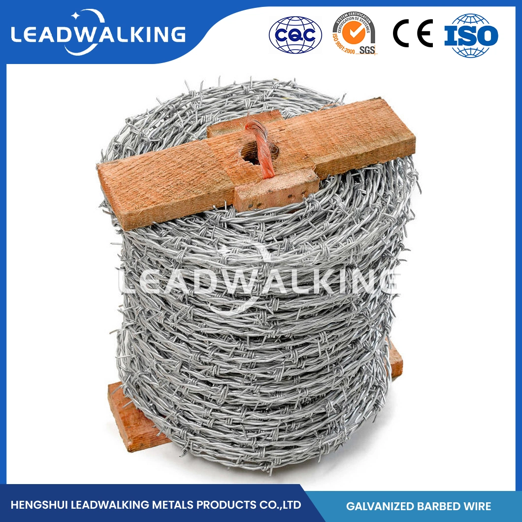 Leadwalking Galvanized Barbed Wire Clip Manufacturing Custom Barbed Wire Galvanized 500m China 1.5mm Thorn Length Sharp Galvanized Razor Barbed Wire